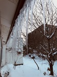 58734F91-3146-43DA-B5FB-CD3755D851AA.jpeg