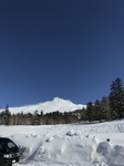 9E84E2CA-6135-45EC-A364-042CE74827E6.jpeg