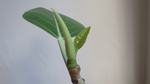 144370CB-A5C0-4A9A-982D-B0500BA02C6B.jpeg