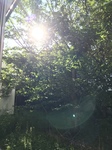 66FF9C09-BB0D-4412-83D2-878663F7E58F.jpeg