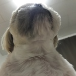 7797811D-03F9-40BA-BFFA-69AE404B1578.jpeg