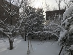C1188630-D473-4B7E-BBB2-B32BBDE2C695.jpeg
